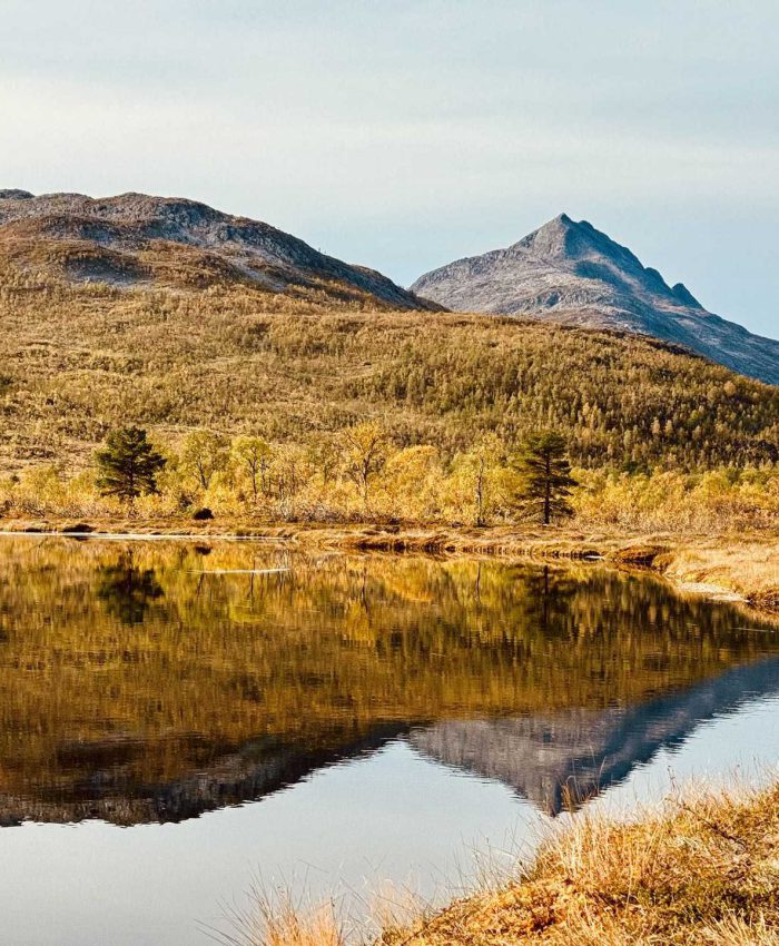 Wanderung zur Anderbu-Hütte im Ånderdalen-Nationalpark Senja – Kompletter Guide