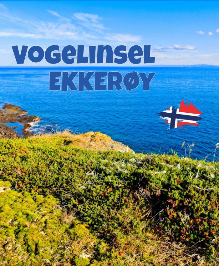Rundwanderung auf Ekkerøy in Nordnorwegen: Vogelklippen, arktische Weite und wilde Küstenlandschaft