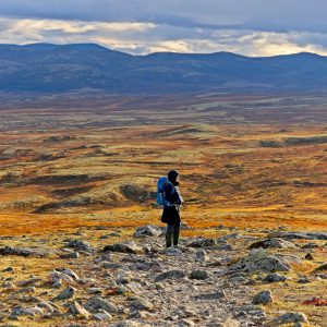 Unser TOP Foto- und Videoequipment für Overlander
