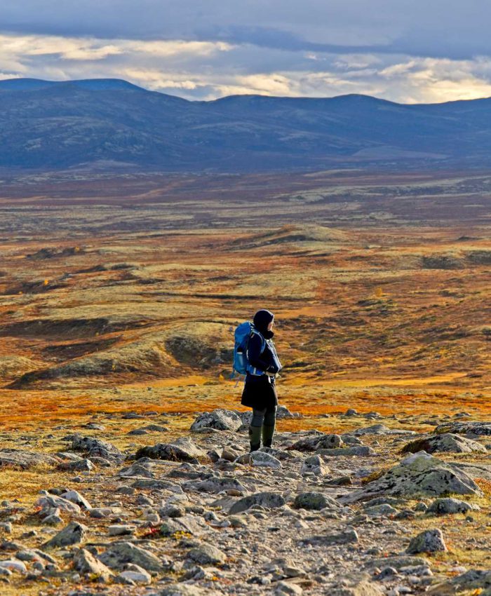 Unser TOP Foto- und Videoequipment für Overlander