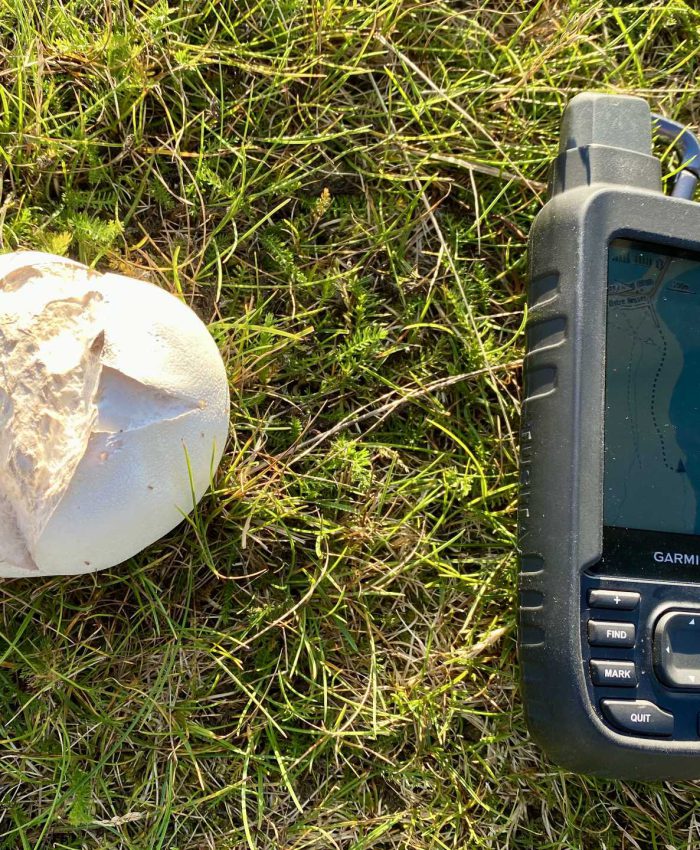 Garmin GPSMAP 65s im Praxistest – verlässliche Orientierung unterwegs