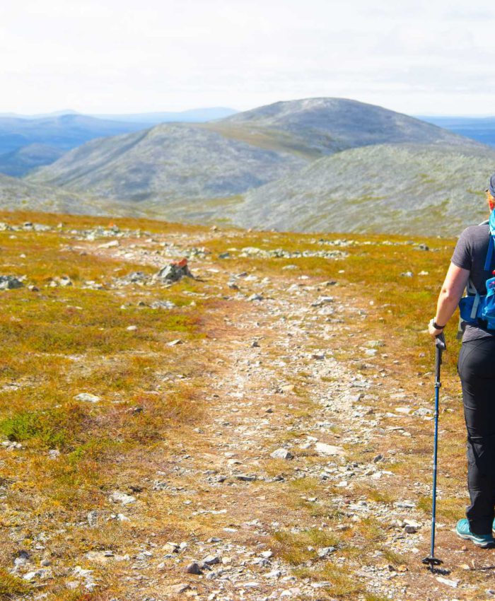 Sonfjället Nationalpark – Rundwanderung durch die schwedische Bärenheimat