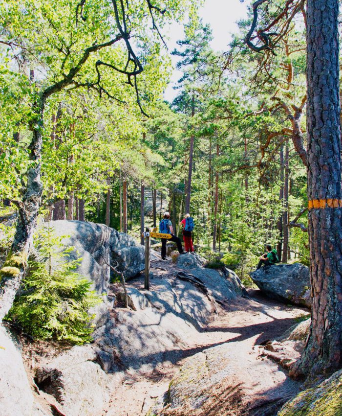 Wanderung durch den Tiveden Nationalpark zur Trollkyrka