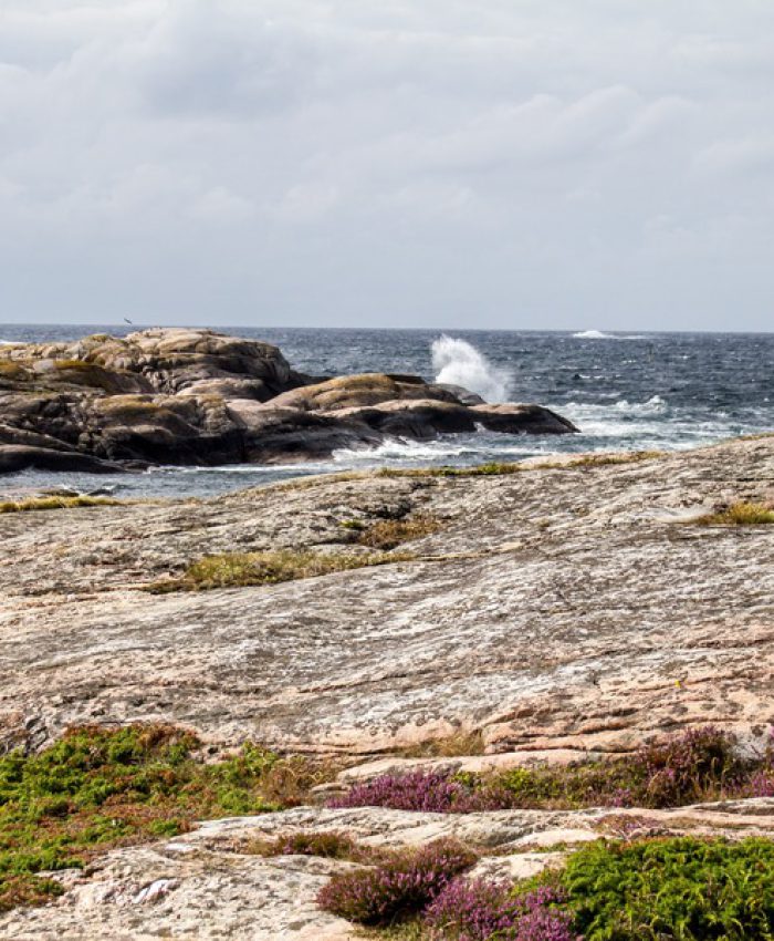 Tjurpannan Naturreservat - Blick auf die Küste