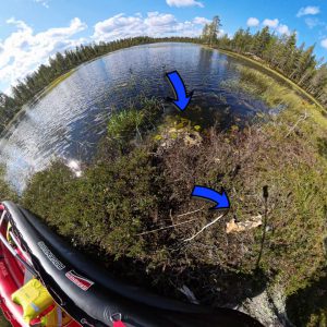 Trinkwasser beim Hiking – Warum ungefiltertes Wasser auch im hohen Norden keine gute Idee ist