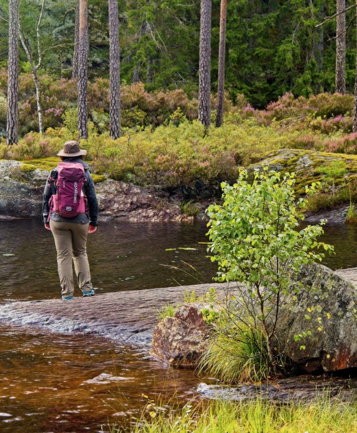Trestiklan Nationalpark – Das wilde Herzstück Südschwedens