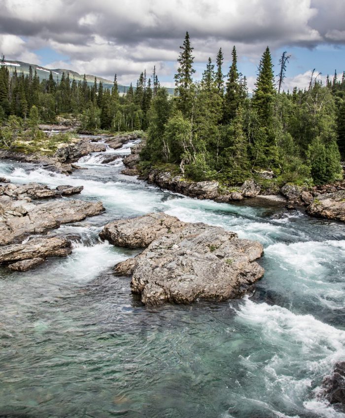 Der Vildmarksvägen – Wilderness Road von Strömsund nach Vilhelmina